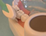 Gebiss-Modell und Zahnarzt-Instrumente